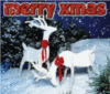 Merry-Xmas