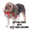 Xmas-Costume