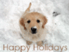 HAPPY HOLIDAYS ICON