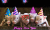 HAPPY NEW YEAR!