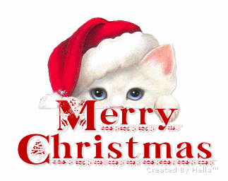 merry Christmas 