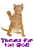Thanks-Kitten