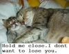 Hold Me Close I Don't Want To Lose You