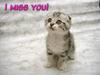 I Miss You