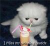Miss My Drinking Buddy