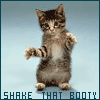 shake that booty