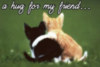 a-hug-for-my-friend