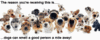 Dogs Can Smell A Good Person A Mile Away