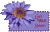 Get Well Soon