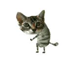 Epileptic Cat