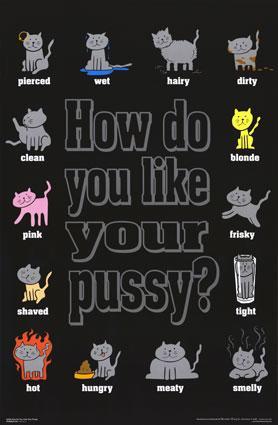 How Do You Like Your Pussy
