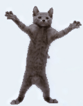 Dancing  Cat