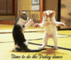 Animated kitties