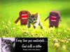 Every Time You Masturbate God Kills A Kitten