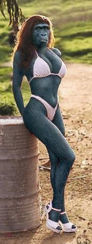 Monkey In Bikini
