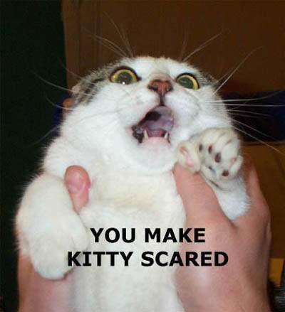 You Make Kitty Scared