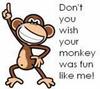 Fun Monkey