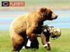 Naughty Bear