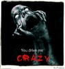 Drive me crazy