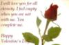 valentine rose