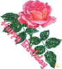 Happy Birthday Rose