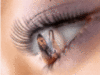 Jesus in my eyes