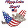 Labor Day Cat
