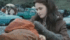 Twilight Car Crash