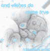 Wishes Come True