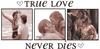 True Love Never Dies