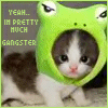 I'm Pretty Much Gangster