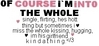 Of Course I'm Into The Whole
