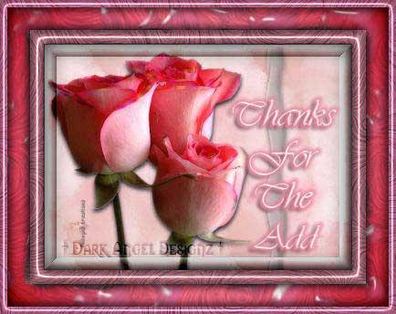 Thanks For The Add Roses