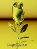 Thanks For The Add yellow