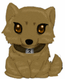 wolf onix