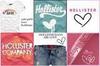 Hollister Icons