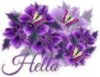 HELLO