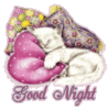 GoodNight