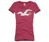Hollister T-Shirt
