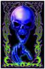 Blue Skull