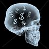 Guys Skull