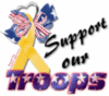 Support our Troops