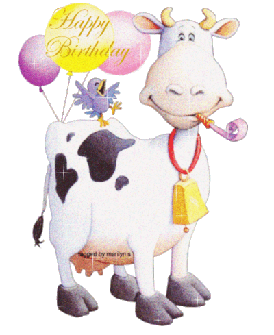 HAPPY BIRTHDAY-COW