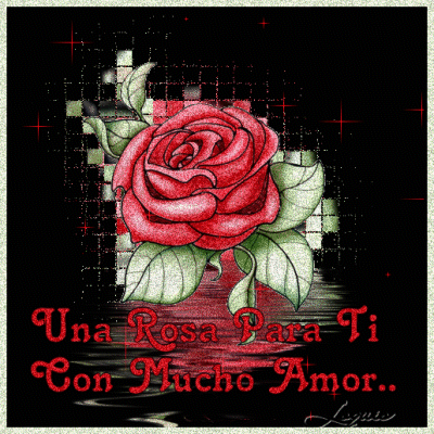 Una Rosa Para Ti Con Mucho Amore