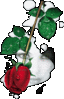 Latino