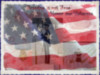 Freedom is not free