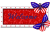 Welcome 4th of July