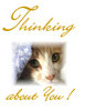 Thinking About You!