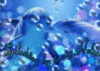 Dolphin Hello