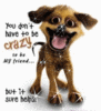 You do not have to be crazy to be my friend but it sure helps